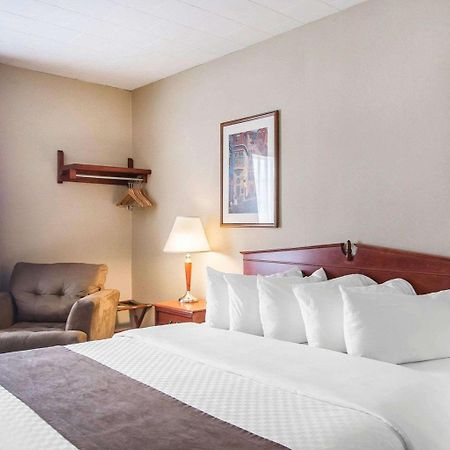 Hotel Danube Bleu Forestville Εξωτερικό φωτογραφία